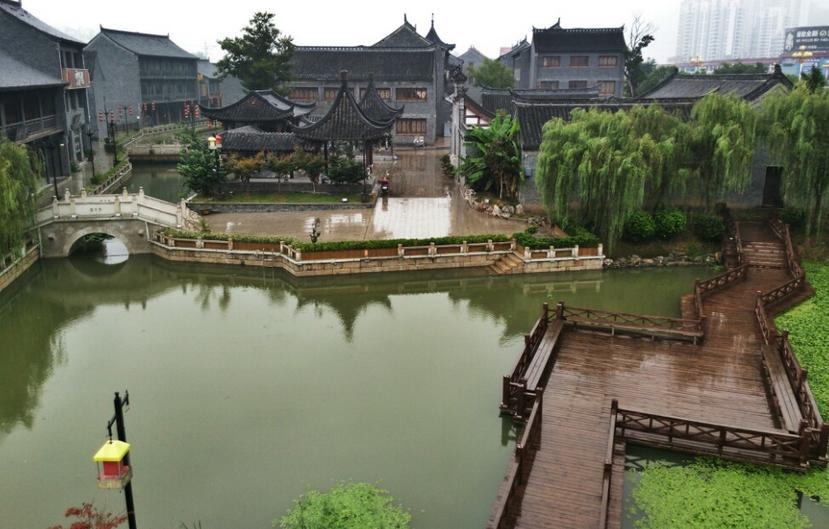 年终答卷｜张二冬：自然造化的馈赠，总能让人有满足感